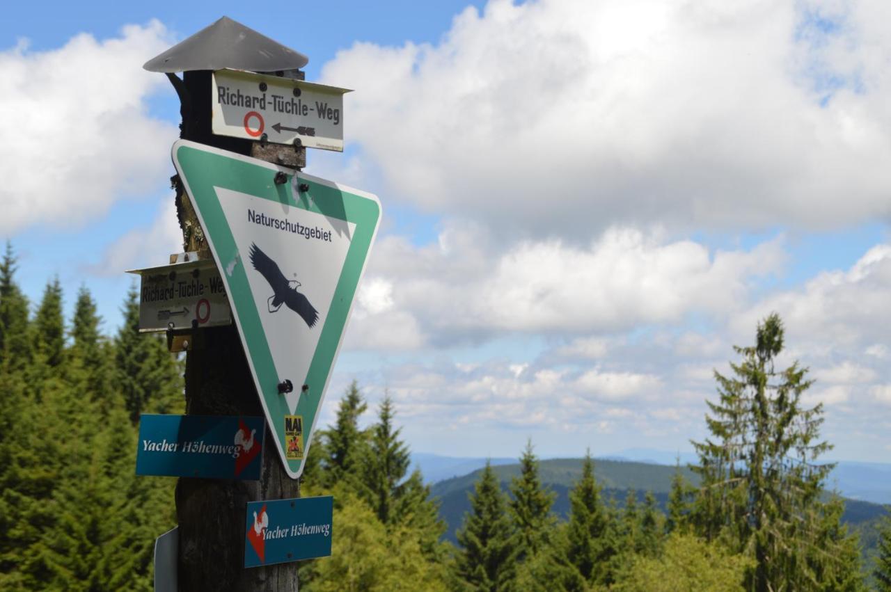 Ferienwohnung Baeuerle Schoenwald im Schwarzwald Exterior photo