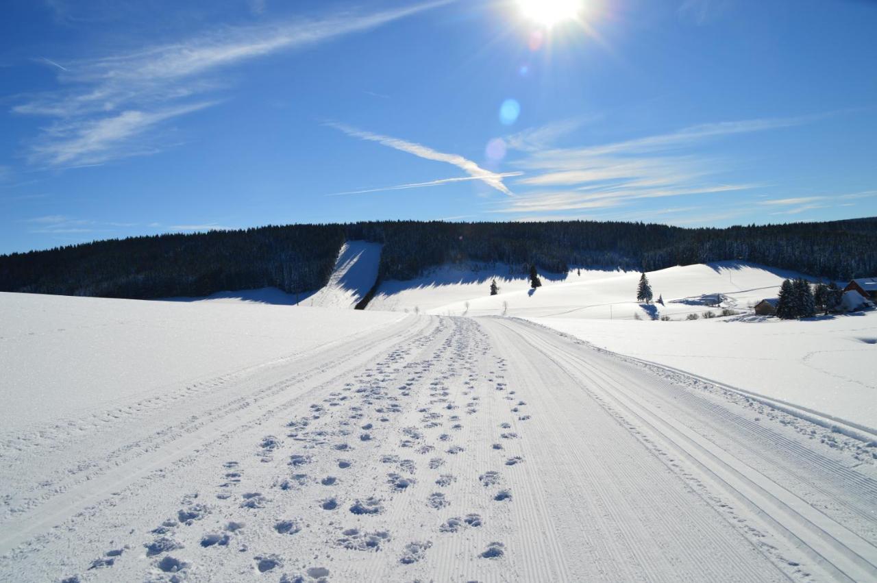 Ferienwohnung Baeuerle Schoenwald im Schwarzwald Exterior photo